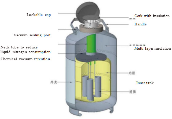 YDS-series-liquid-nitrogen-tank-3